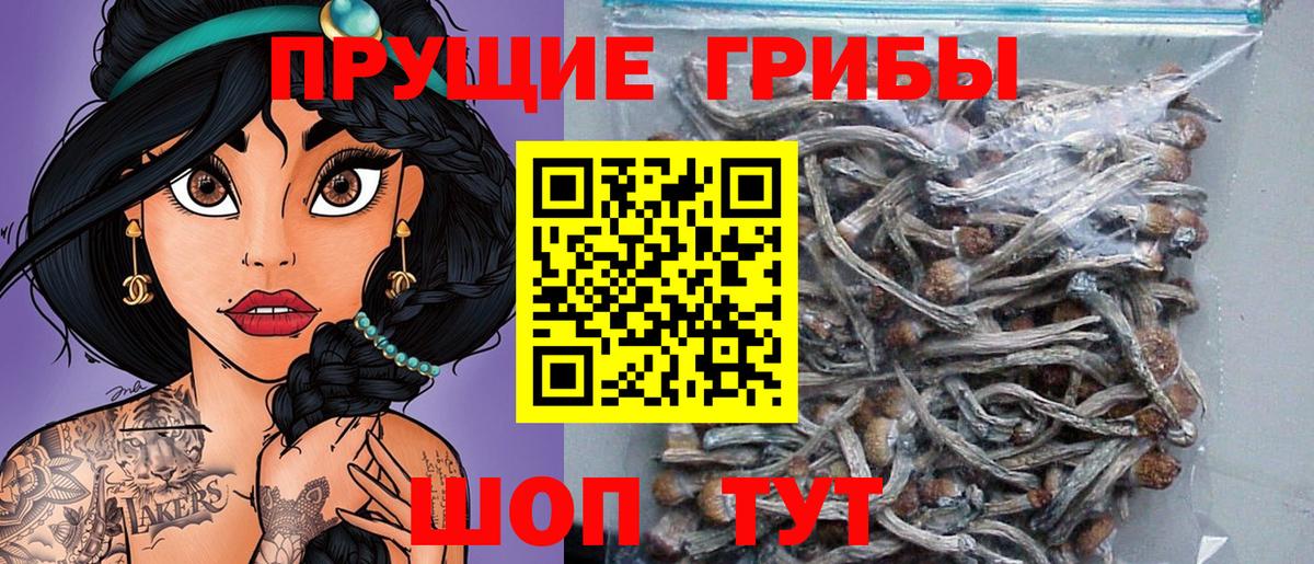 Ликино-Дулёво  Галлюциногенные грибы GOLDEN TEACHER  Вход с VPN 