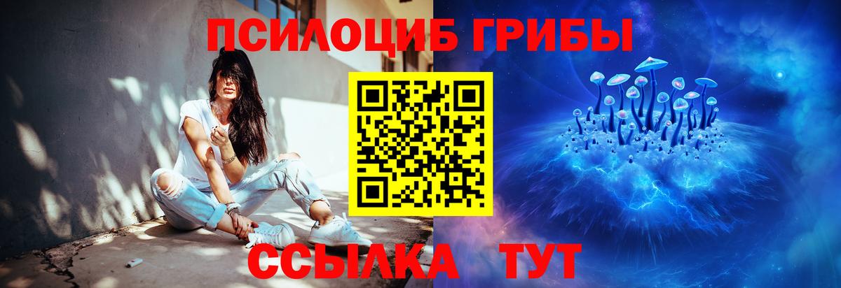 Псилоцибиновые грибы прущие грибы Ликино-Дулёво